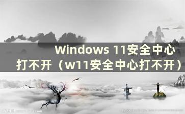 Windows 11安全中心打不开（w11安全中心打不开）